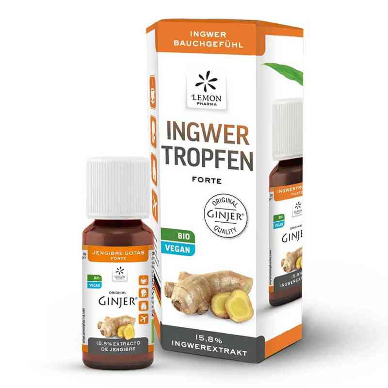 Imbir Ginjer forte krople 20 ml od Hager Pharma GmbH PZN 10810800