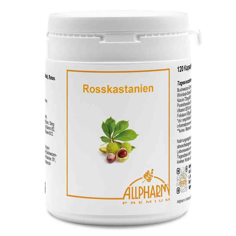Kapsułki z kasztanowca zwyczajnego 120 szt. od ALLPHARM Vertriebs GmbH PZN 03425384