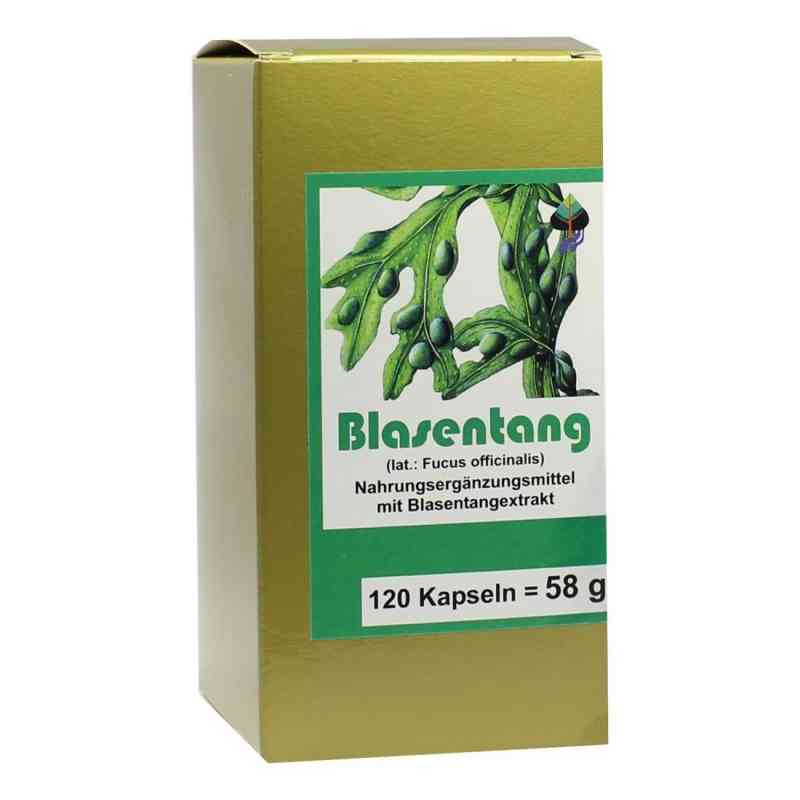 Kapsułki z morszczynu 120 szt. od FBK-Pharma GmbH PZN 00004877
