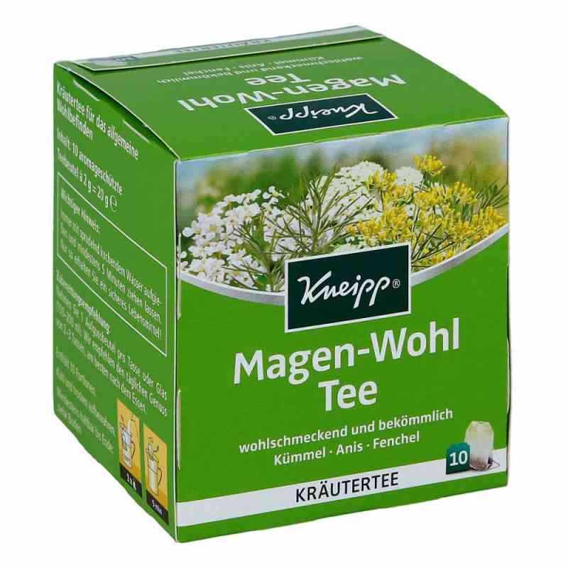 Kneipp Tee Magen Wohl saszetki 10 szt. od Kneipp GmbH PZN 08412363