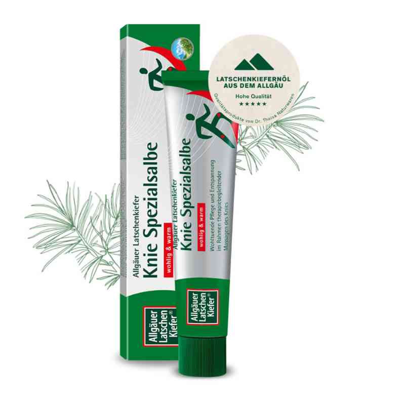 Knie Spezialsalbe maść do masażu kolan 50 ml od Dr. Theiss Naturwaren GmbH PZN 12477606