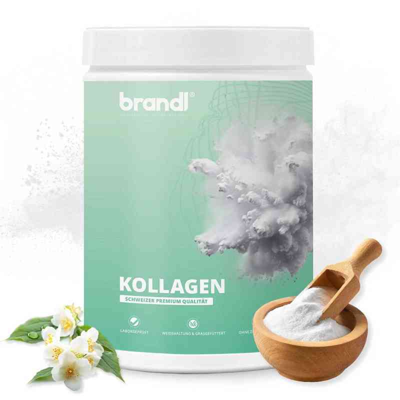 Kollagen Pulver 550 g od Brandl Nutrition GmbH PZN 19622945