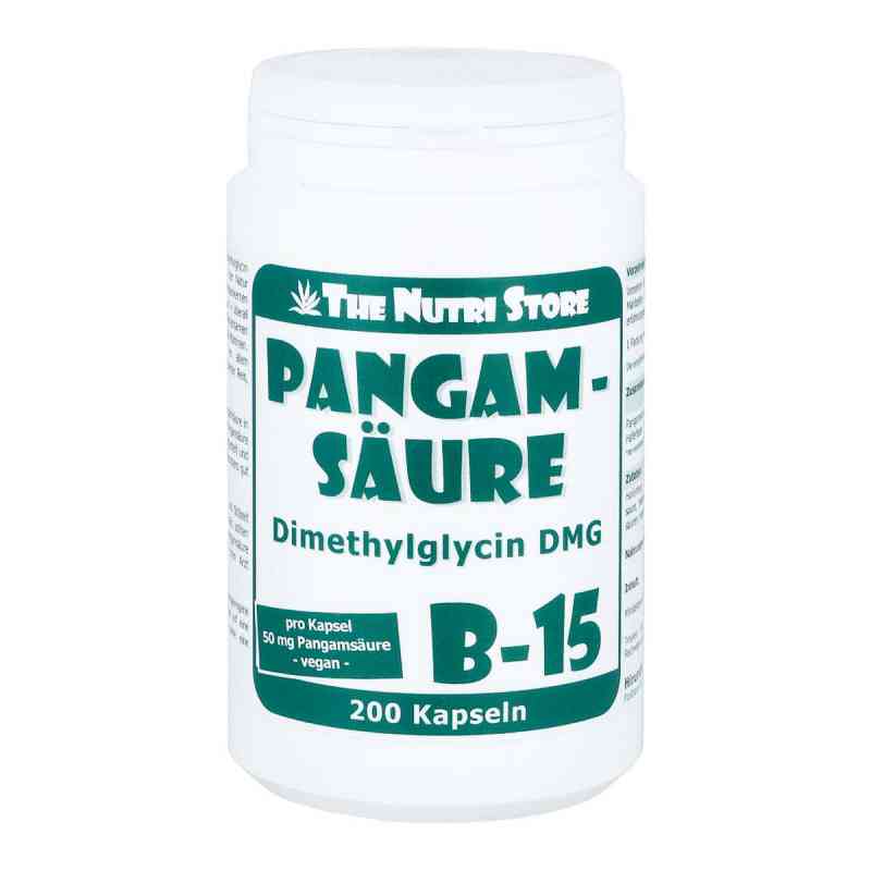 Kwas pangamowy B15 50 mg kapsułki 200 szt. od Hirundo Products PZN 05101697