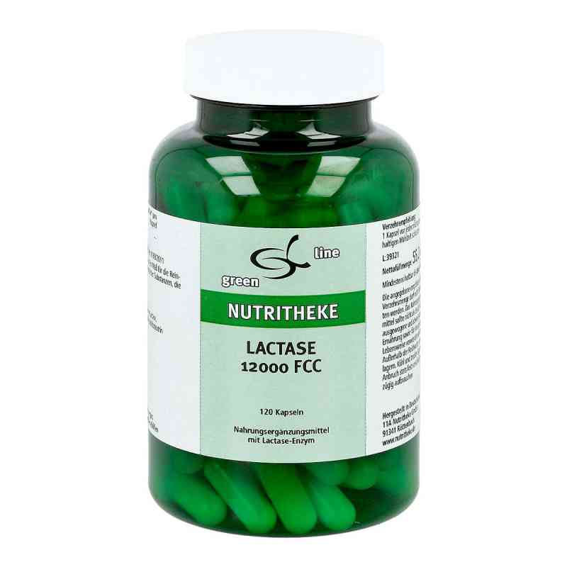 Lactase 12000 FCC kapsułki 120 szt. od 11 A Nutritheke GmbH PZN 01466321