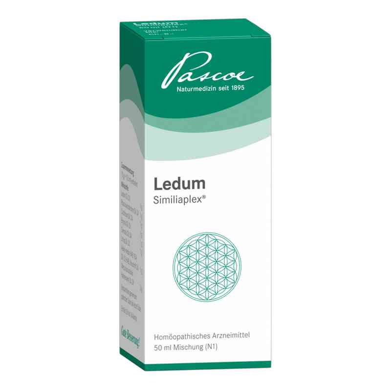 Ledum Similiaplex Tropfen 50 ml od Pascoe pharmazeutische Präparate PZN 01353166