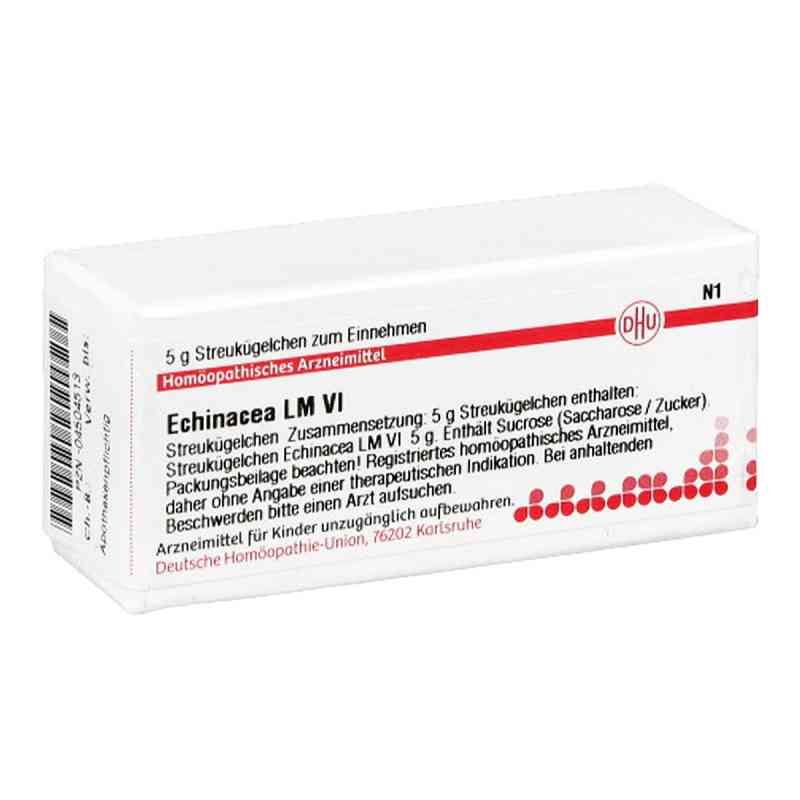 Lm Echinacea Hab Vi Globuli 5 g od DHU-Arzneimittel GmbH & Co. KG PZN 04504513