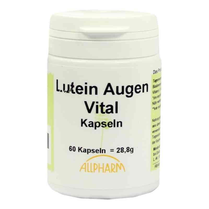 Lutein 6 mg kapsułki 60 szt. od Karl Minck Naturheilmittel PZN 03928719