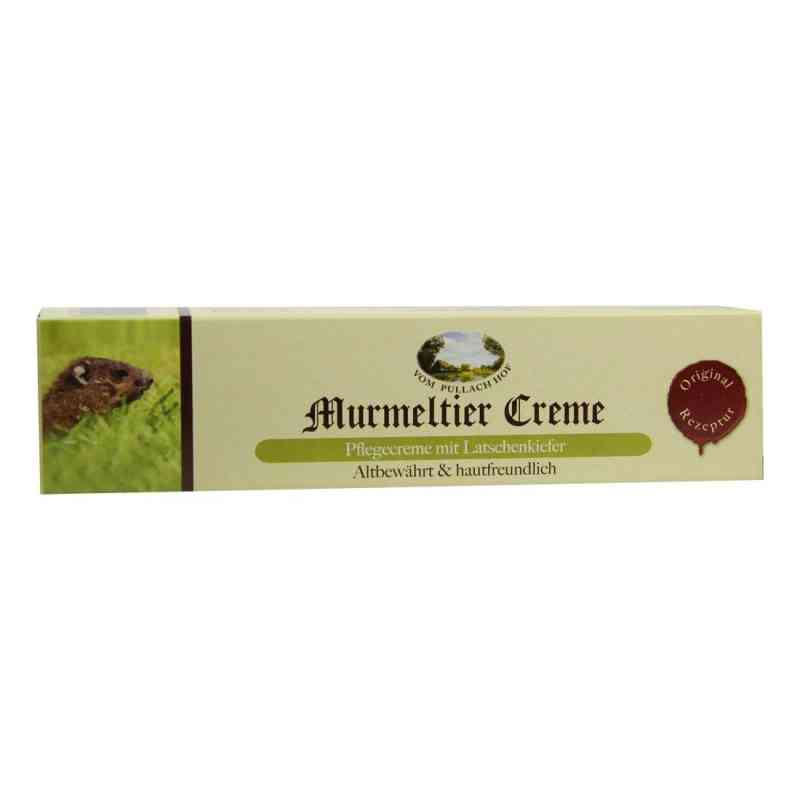 Murmeltier Creme mit Latschenkiefer 100 ml od Axisis GmbH PZN 01606710