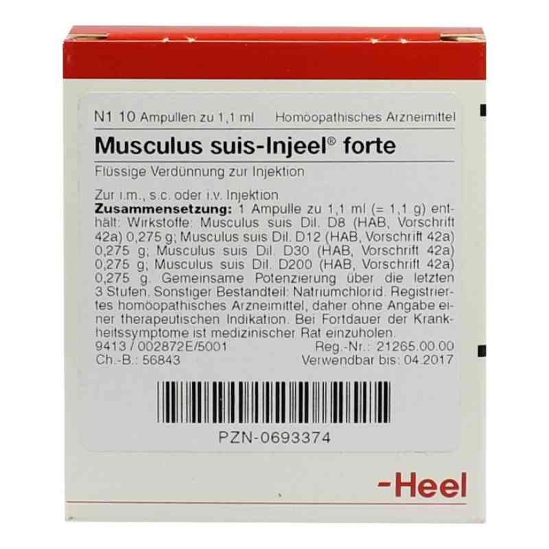 Musculus Suis forte w ampułkach do iniekcji 10 szt. od Biologische Heilmittel Heel GmbH PZN 00693374
