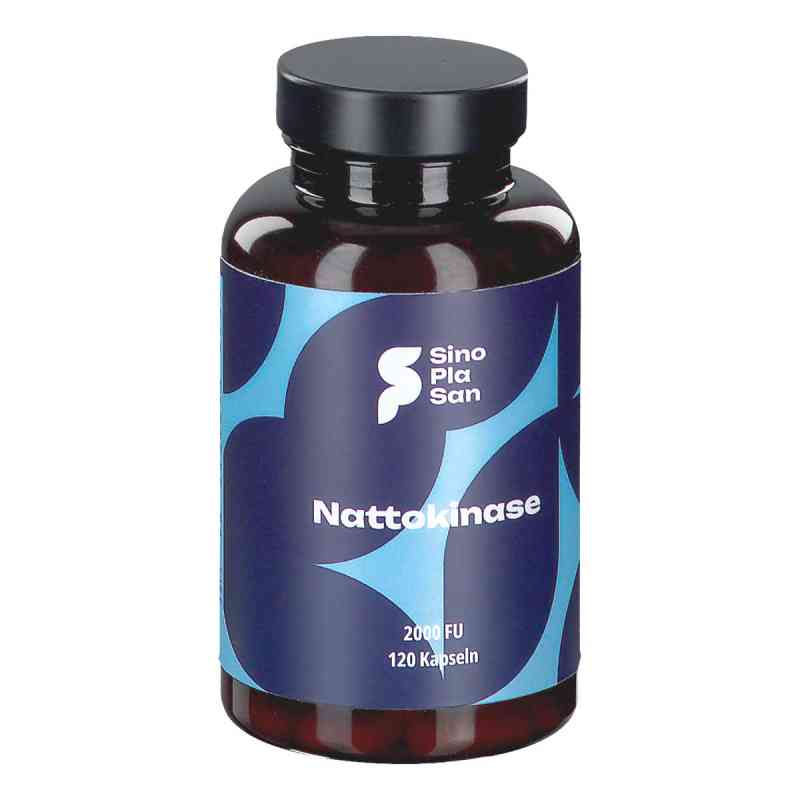 Nattokinase 100 mg Mono kapsułki 120 szt. od SinoPlaSan GmbH PZN 13894128