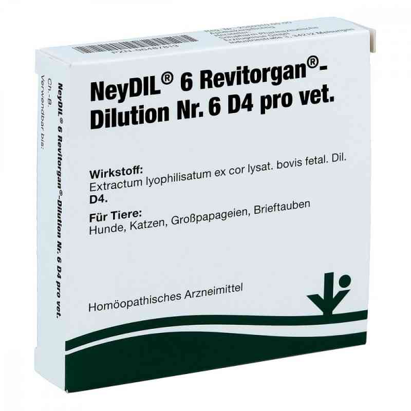Neydil Nr.6 Revitorgan Dil.d 4 pro vet. 5X2 ml od vitOrgan Arzneimittel GmbH PZN 06487813
