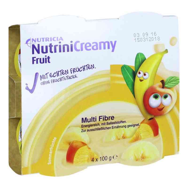 Nutrini Creamy jogurt dla dzieci o smaku owocowym 4X100 g od Danone Deutschland GmbH PZN 10356057