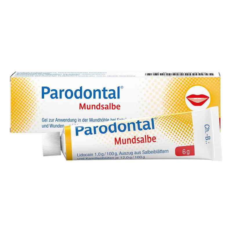 Parodontal Mundsalbe 6 g od Serumwerk Bernburg AG PZN 04020991