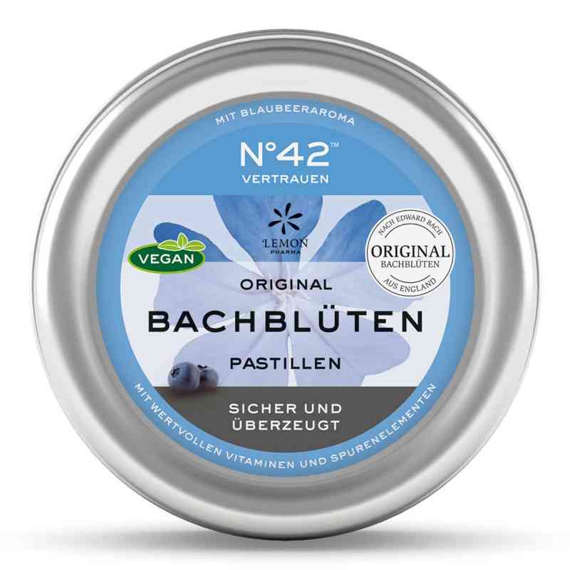 Pastylki z kwiatami Bacha 50 g od Hager Pharma GmbH PZN 09074477