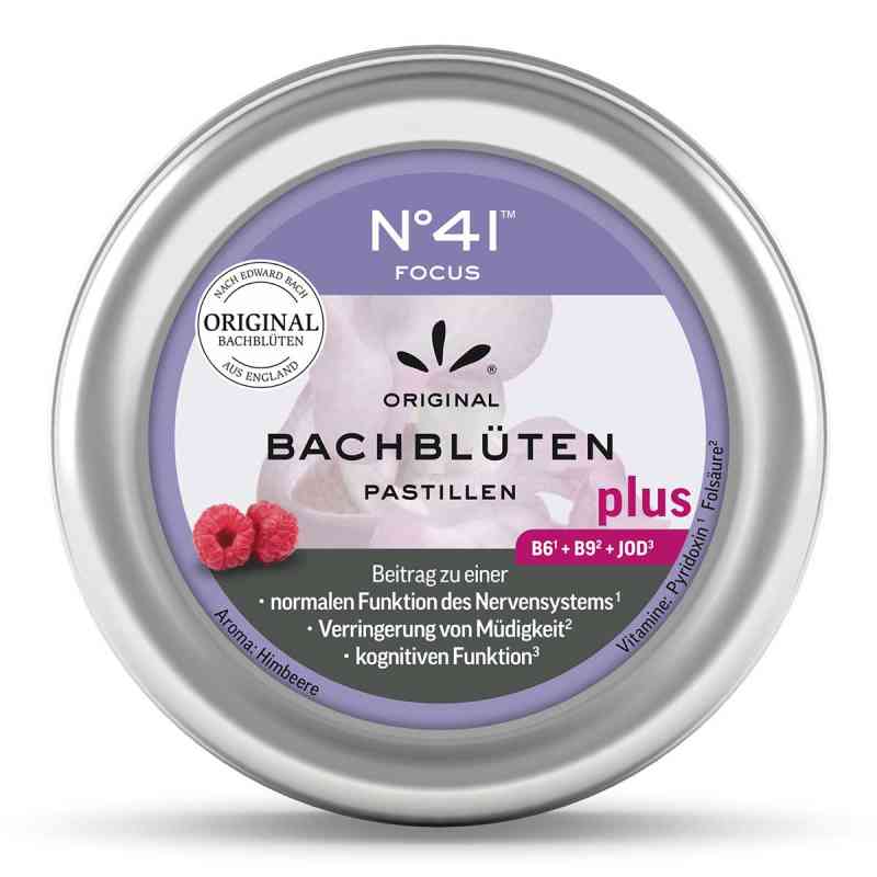 Pastylki z kwiatami Bacha pamięć i koncentracja 50 g od Hager Pharma GmbH PZN 09074460