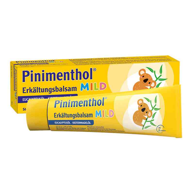 Pinimenthol Erkaelt.balsam mild 50 g od Dr.Willmar Schwabe GmbH & Co.KG PZN 07779943