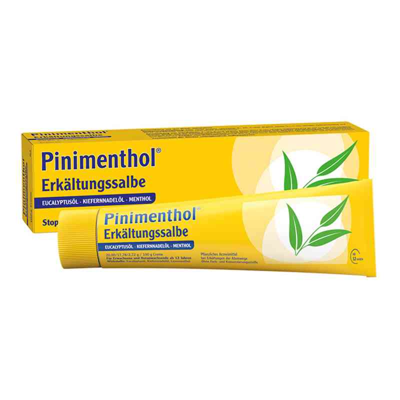 Pinimenthol Erkaelt.salbe Euc/kief/m krem 100 g od Dr.Willmar Schwabe GmbH & Co.KG PZN 03745309