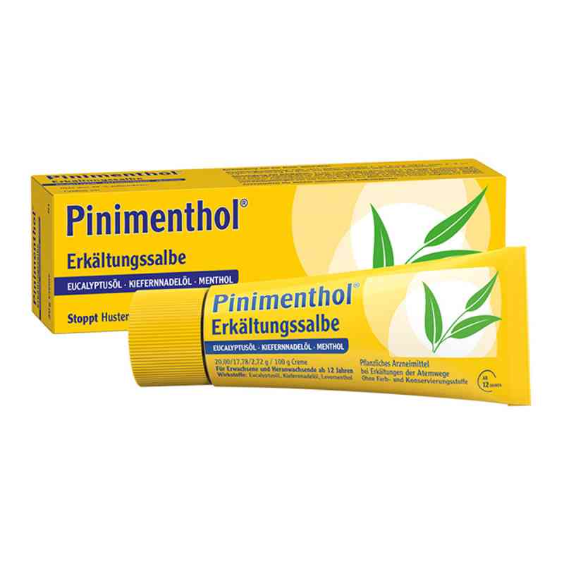 Pinimenthol Erkaelt.salbe Euc/kief/m krem 20 g od Dr.Willmar Schwabe GmbH & Co.KG PZN 03745284