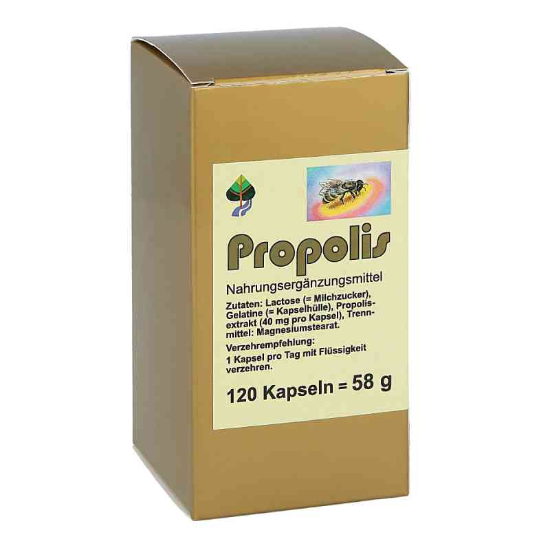 Propolis Kapseln 120 szt. od FBK-Pharma GmbH PZN 00004848