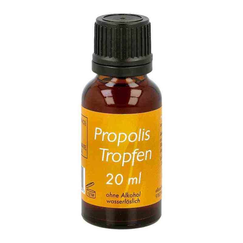 Propolis Tropfen o. Alkohol 20 ml od allcura Naturheilmittel GmbH PZN 00831379