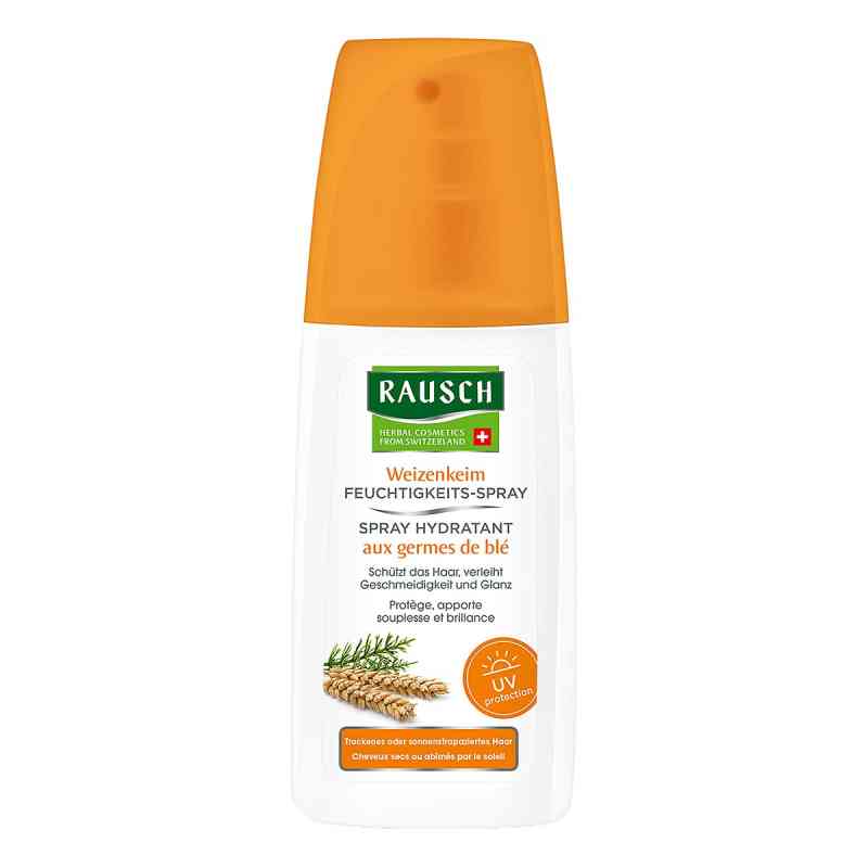 Rausch odżwyka do włosów suchych, spray 100 ml od RAUSCH (Deutschland) GmbH PZN 10329008
