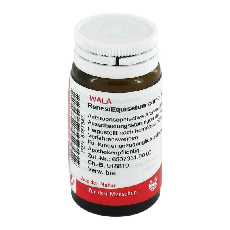 Renes/ Equisetum Comp. granulki 20 g od WALA Heilmittel GmbH PZN 08787347