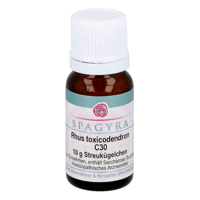 Rhus Toxicodendron C30 w granulkach 10 g od Spagyra GmbH & Co KG PZN 11282711