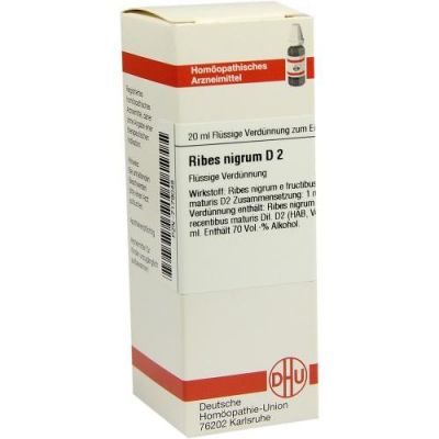 Ribes Nigrum D 2 Dil. 20 ml od DHU-Arzneimittel GmbH & Co. KG PZN 07179048