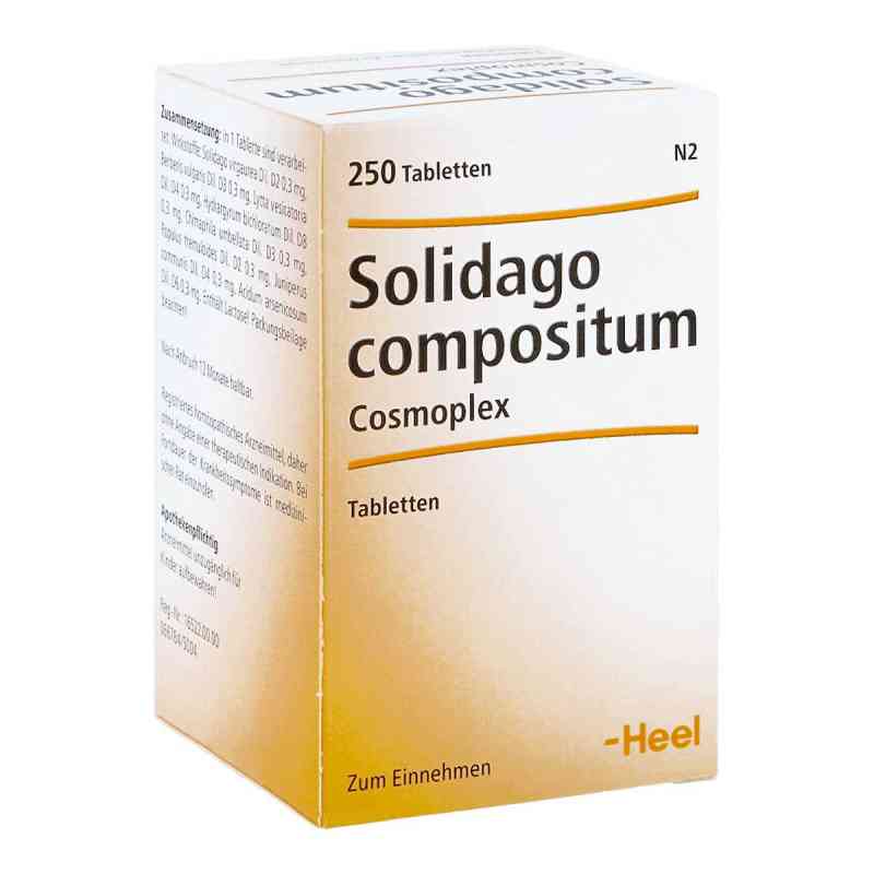 Solidago Compositum Cosmoplex tabletki 250 szt. od Biologische Heilmittel Heel GmbH PZN 04329079