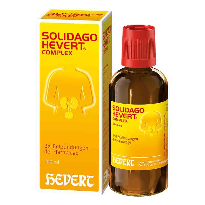 Solidago Hevert Complex krople 100 ml od Hevert Arzneimittel GmbH & Co. K PZN 04375323