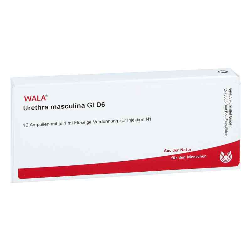 Urethra Masculina Gl D 6 Amp. 10X1 ml od WALA Heilmittel GmbH PZN 00491328