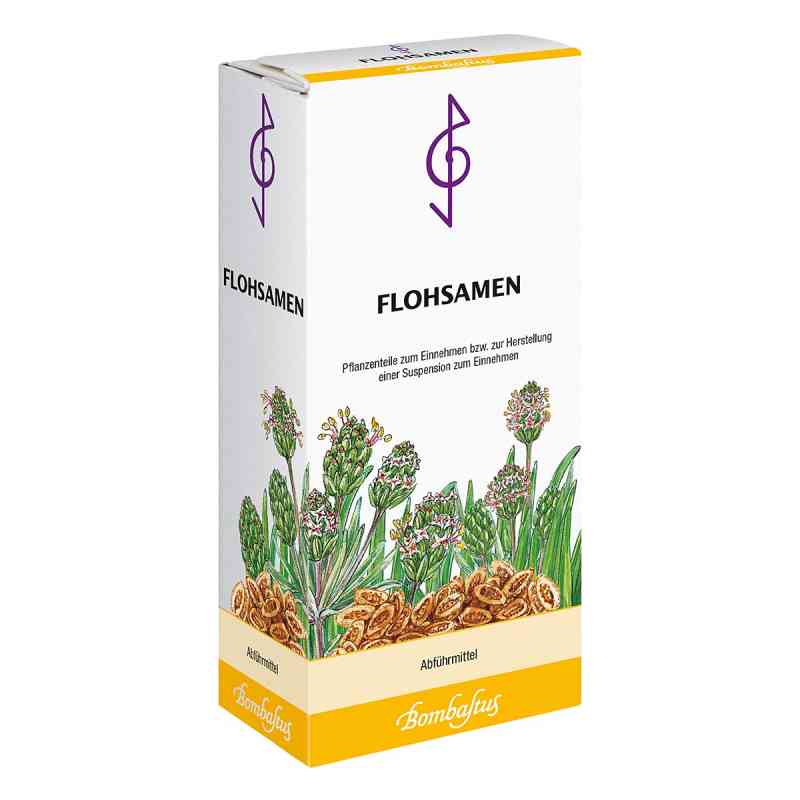 ŁUSKI BABKI JAJOWATEJ BOMBASTUS 300 g od Bombastus-Werke AG PZN 05466938
