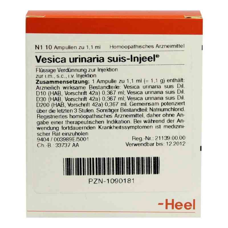 Vesica Urinaria Suis Injeele ampułki 10 szt. od Biologische Heilmittel Heel GmbH PZN 01090181