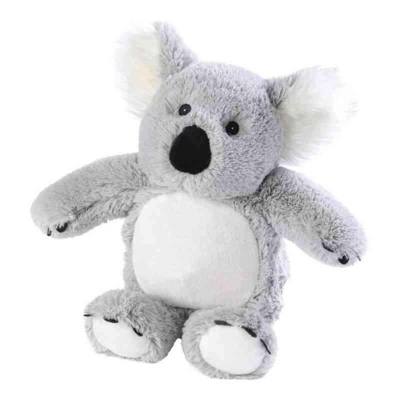 Wärme Stofftier Beddy Bear Koala 1 szt. od Greenlife Value GmbH PZN 08453356
