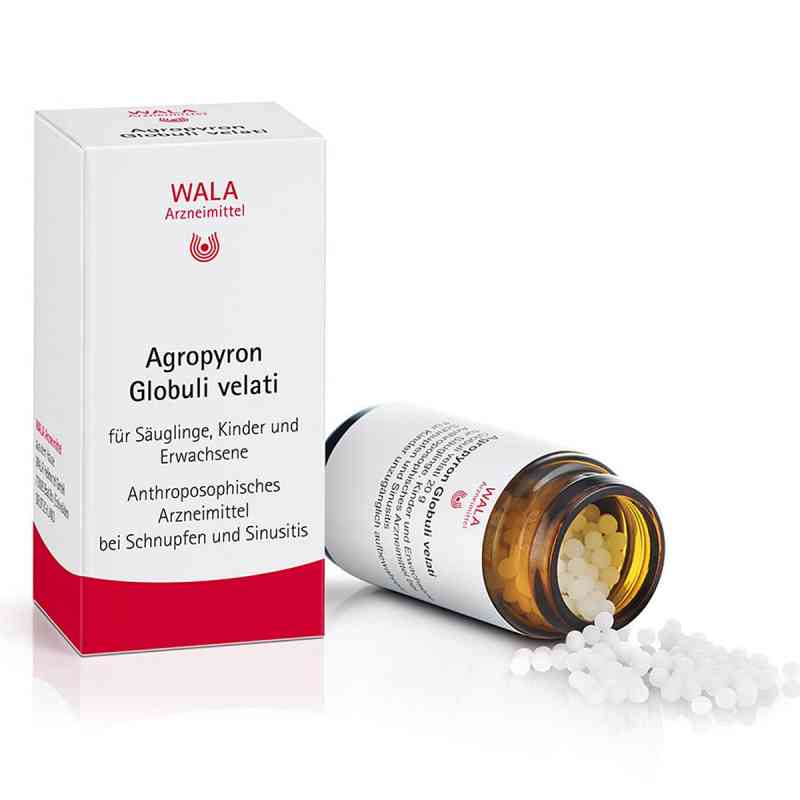 Wala Agropyron Velati globulki 20 g od WALA Heilmittel GmbH PZN 01447861