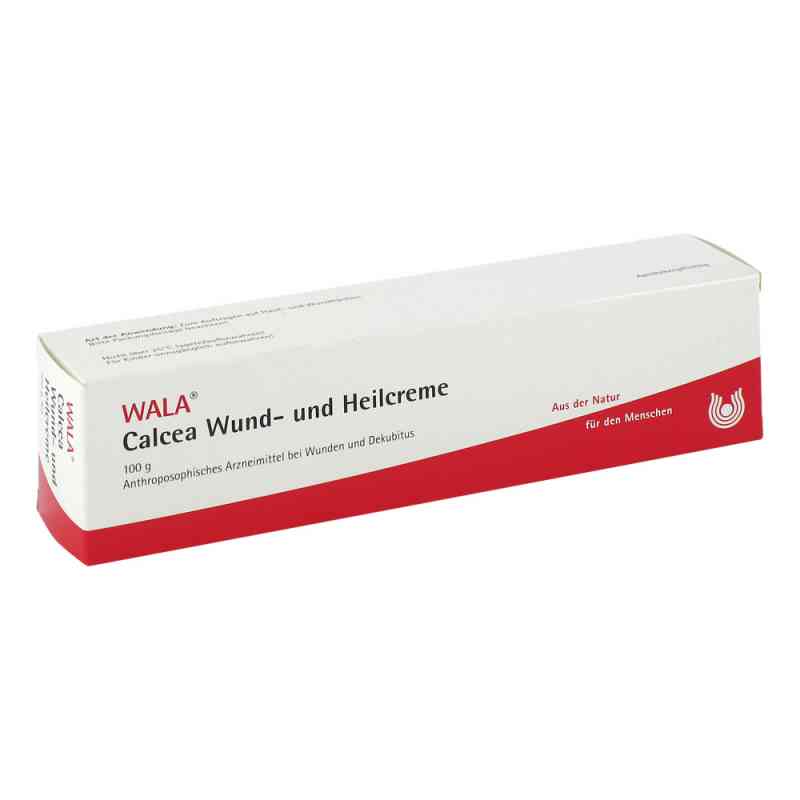 Wala Calcea krem regeneracyjno-ochronny  100 g od WALA Heilmittel GmbH PZN 03932922