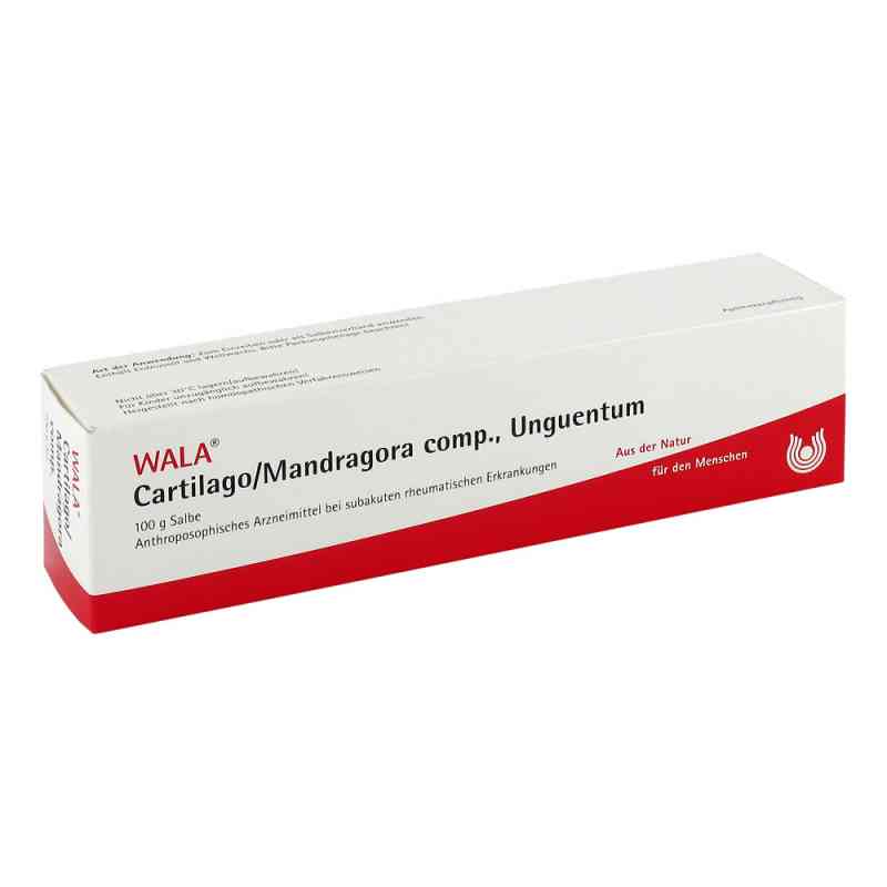 Wala Cartilago/ Mandragora Comp. maść 100 g od WALA Heilmittel GmbH PZN 02198236