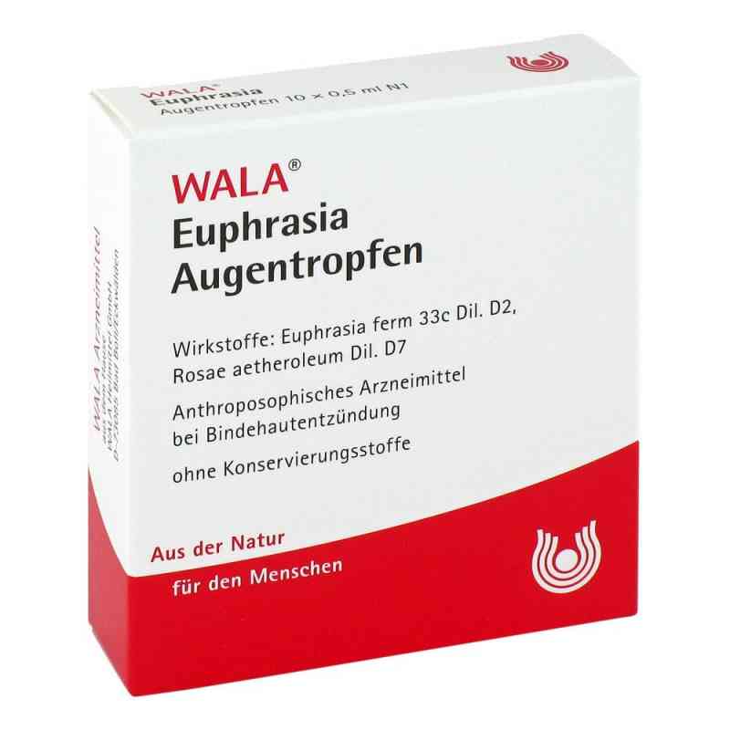 Wala Euphrasia Krople do oczu ze świetlikiem 10X0.5 ml od WALA Heilmittel GmbH PZN 06816435