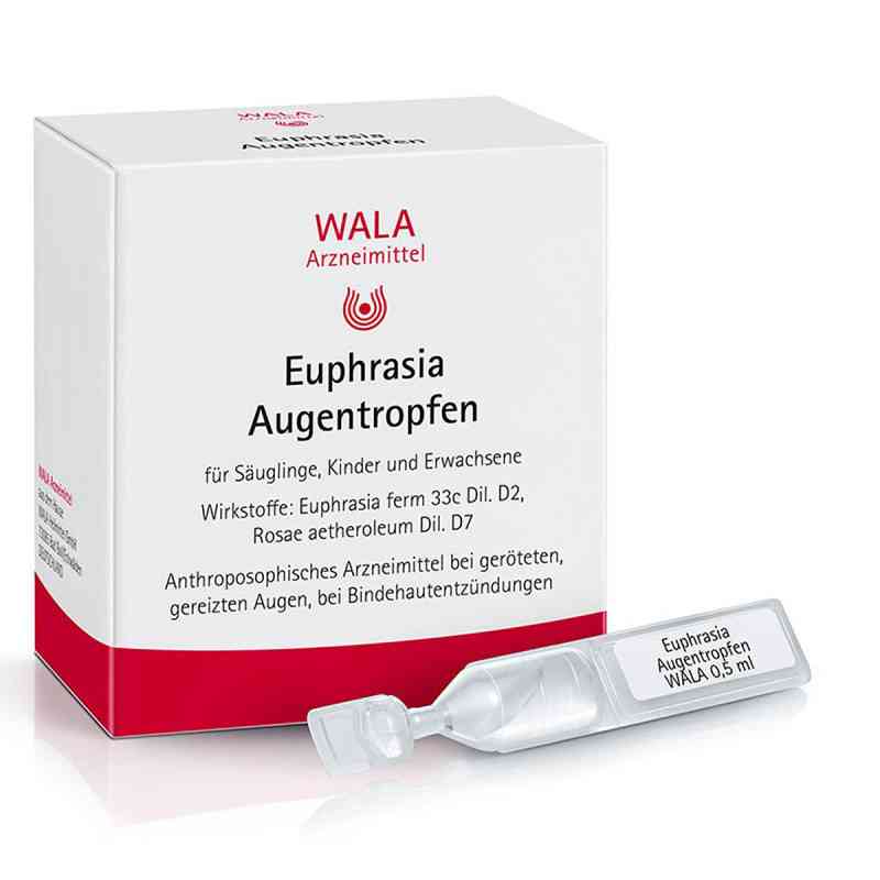 Wala Euphrasia Krople do oczu ze świetlikiem 30X0.5 ml od WALA Heilmittel GmbH PZN 01448168