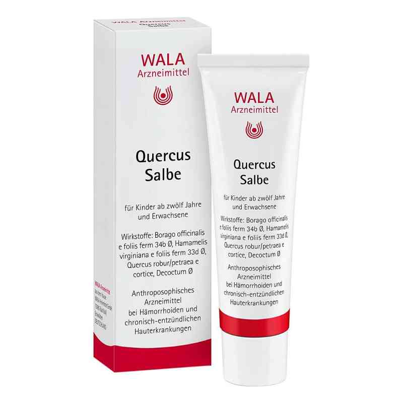 Wala Quercus maść na hemoroidy 30 g od WALA Heilmittel GmbH PZN 01448458