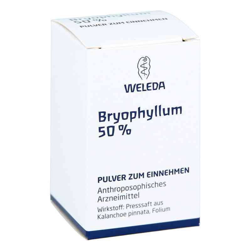 Weleda Bryophyllum 50% proszek  20 g od WELEDA AG PZN 02591904