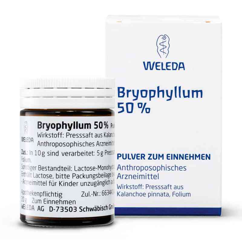 Weleda Bryophyllum 50% proszek doustny   50 g od WELEDA AG PZN 01631441