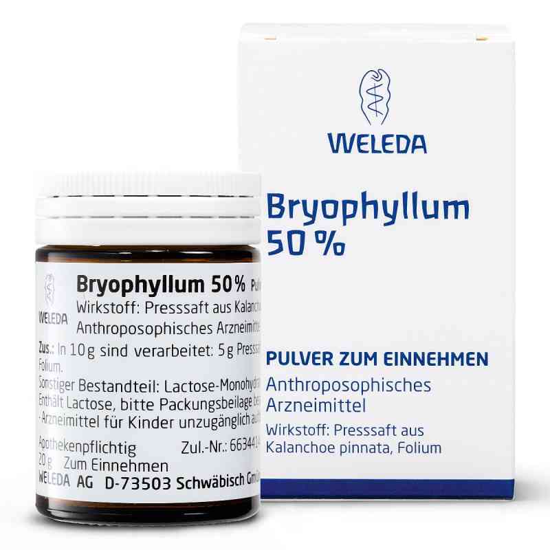 Weleda Bryophyllum 50% proszek doustny   50 g od WELEDA AG PZN 01631441