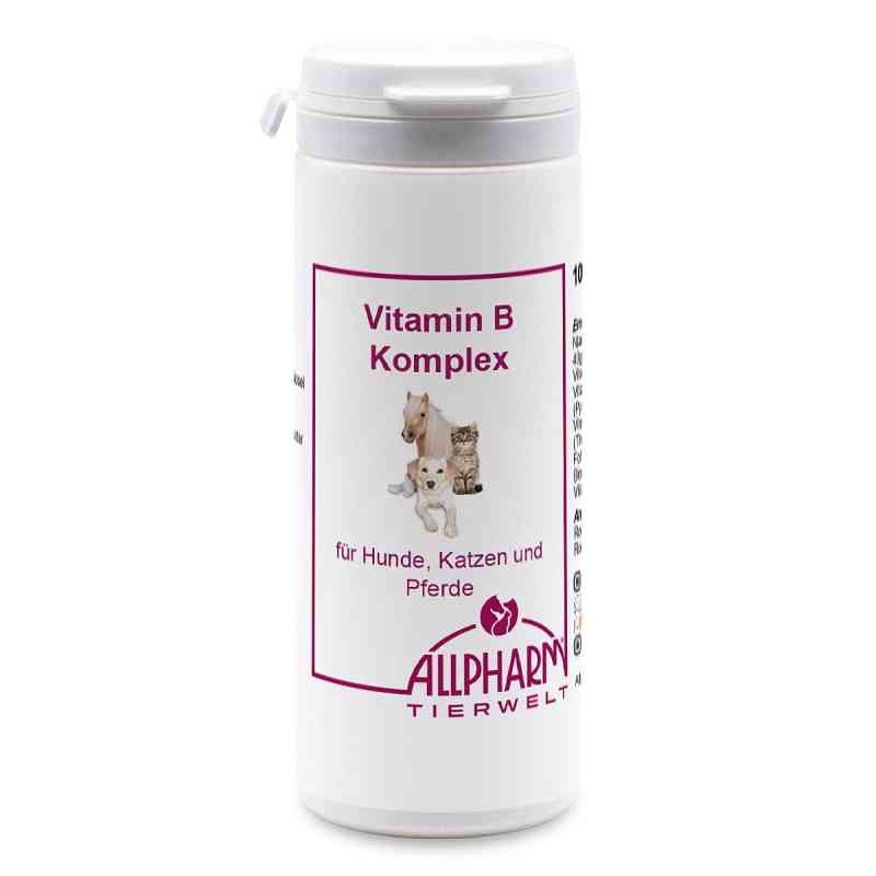 Witaminy z grupy B Kompleks Kapsułki dla psów 100 szt. od ALLPHARM Vertriebs GmbH PZN 13851981