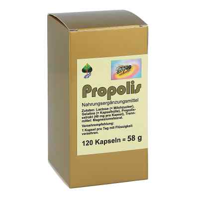 Propolis Kapseln zamów na apo-discounter.pl
