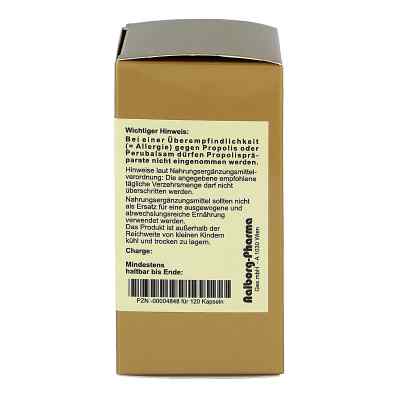 Propolis Kapseln Propolis Kapseln