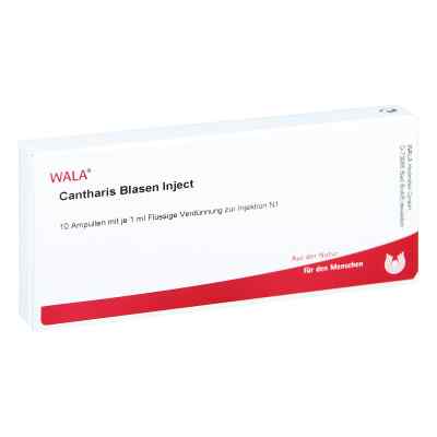 Cantharis Blasen Inject ampułki 10X1 ml od WALA Heilmittel GmbH PZN 00081116
