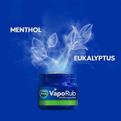 Wick Vapo Rub maść 100 g zamów na apo-discounter.pl
