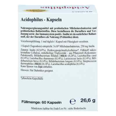 Acidophilus kapsułki zamów na apo-discounter.pl