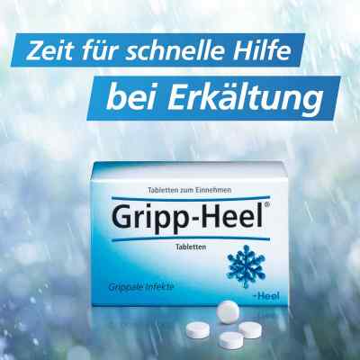 Hell-Gripp tabletki zamów na apo-discounter.pl